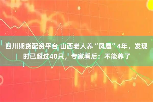 四川期货配资平台 山西老人养“凤凰”4年，发现时已超过40只，专家看后：不能养了