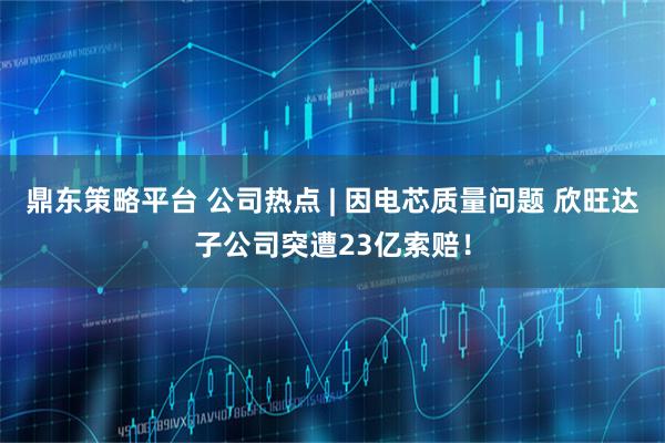 鼎东策略平台 公司热点 | 因电芯质量问题 欣旺达子公司突遭23亿索赔！