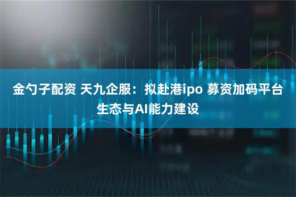 金勺子配资 天九企服:拟赴港ipo 募资加码平台生态与AI能力建设