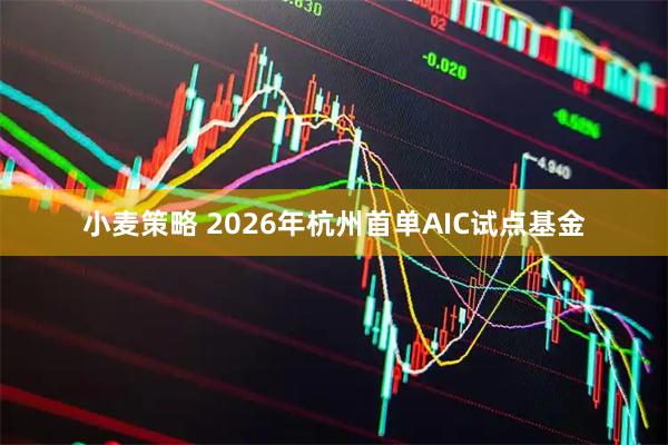 小麦策略 2026年杭州首单AIC试点基金