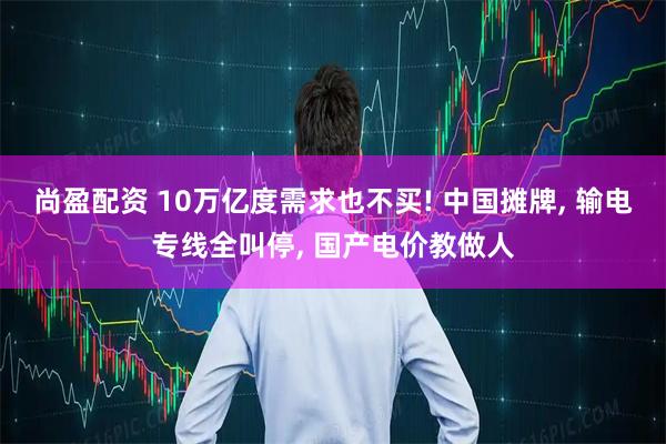 尚盈配资 10万亿度需求也不买! 中国摊牌, 输电专线全叫停, 国产电价教做人